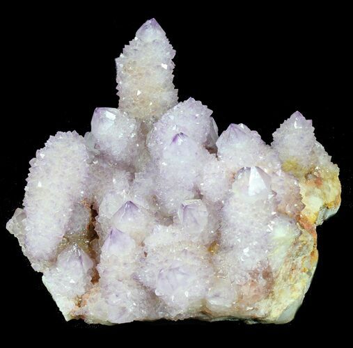 Cactus Quartz (Amethyst) Cluster - South Africa #38995